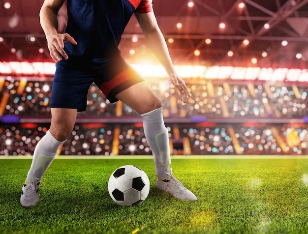 米乐体育应用界面展示